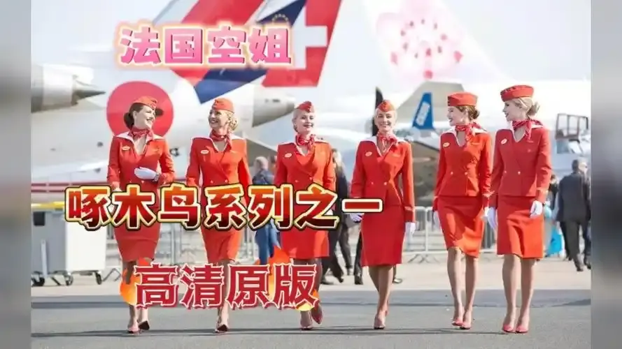《法国空姐4》资源下载-法国空姐4免费观看完整版合集-法国空姐全季超高清在线观看