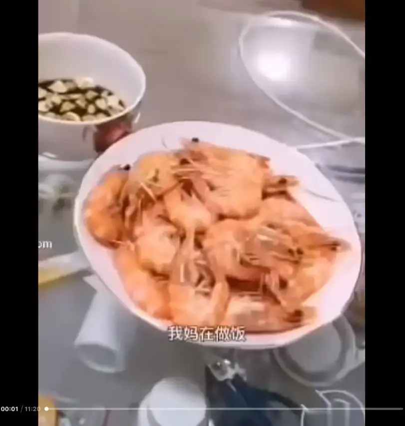 《大虾母子厨房完整版》资源高清在线看 - 揭开网络梗的神秘面纱 - 来龙去脉一看视频就明白 - 猎奇视频全网免费观看
